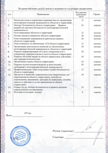 Главный инженер проекта (ГИП)